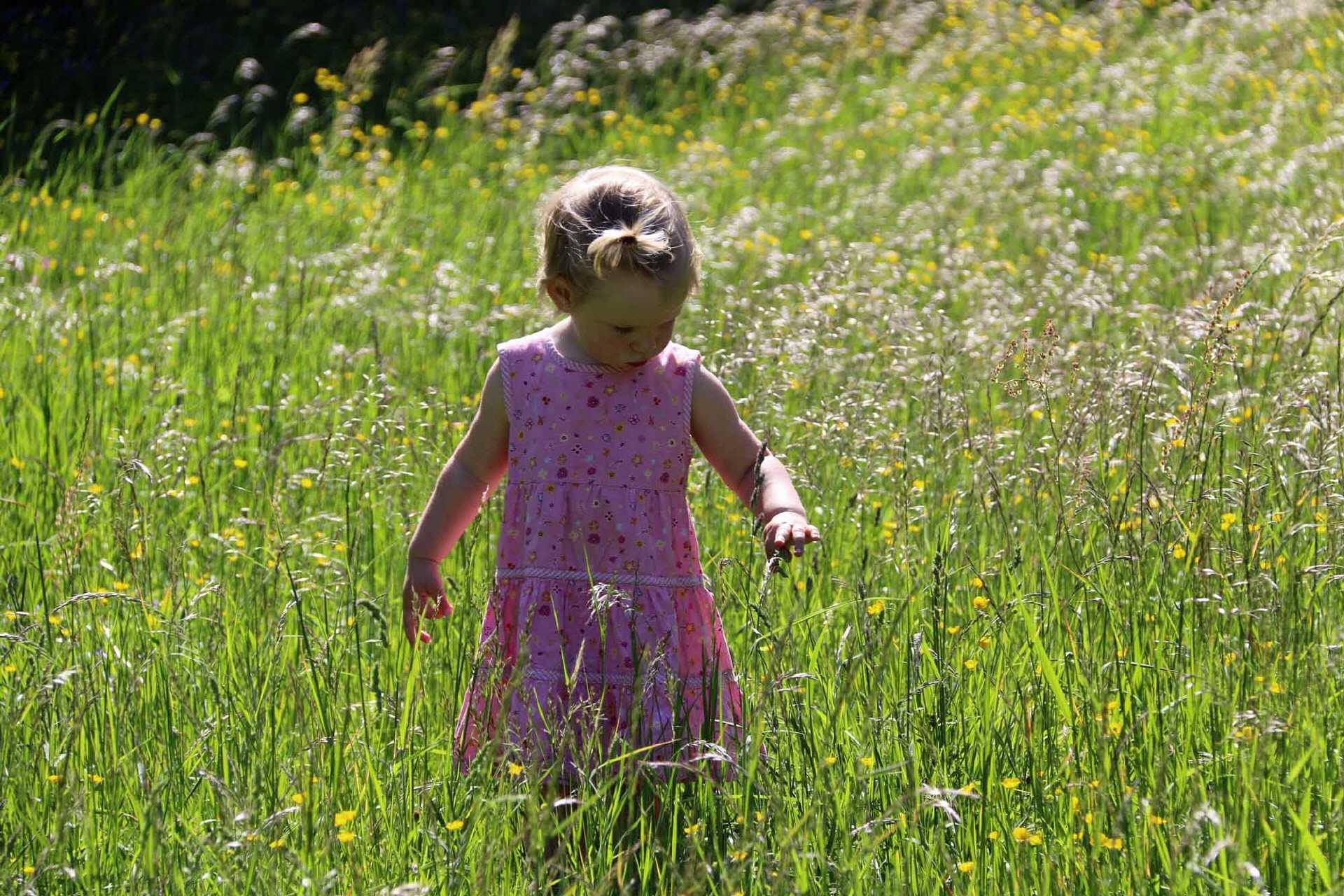 Mädchen in der Wiese